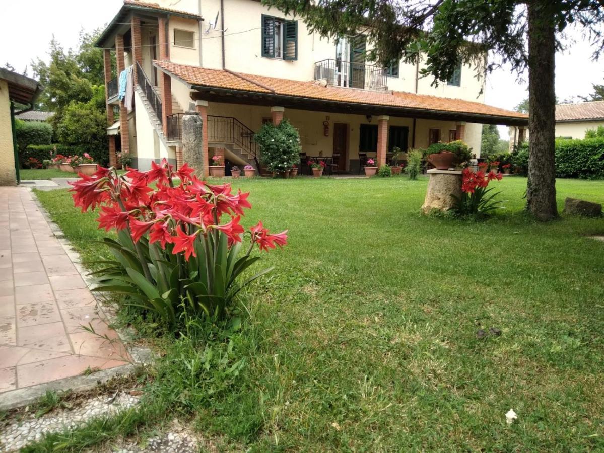 Agriturismo Le Chicche Di Mafalda Montemerano Exterior foto